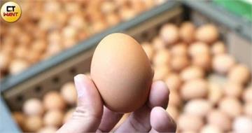 雞蛋吃對護腦！研究揭「每週5次」阿茲海默症風險降27%　譚敦慈：每日可吃3顆