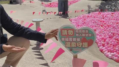 台南愛情許願池　10萬粉紅泡泡球　民眾伸手亂拿與警衛爆爭執