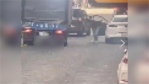 北市男疑酒後開車拒測咆哮　遭警方帶回管束竟驗出毒駕