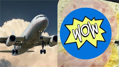 他買廉航加價餐點怒控史上最難吃飛機餐　空服員也不挺喊：看起來糟透了！