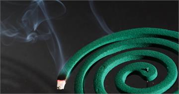 蚊子太多！車主點蚊香後回家　整台車燒剩骨架