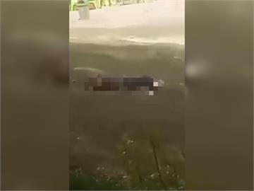 快新聞／恐怖！印度喀什米爾知名旅遊景點遭武裝份子血洗　釀5死8傷