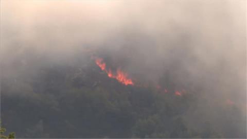 巴黎南部近郊爆發野火 火勢蔓延逾千公頃、撤離千人