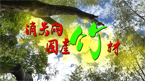 異言堂／「新興竹產業」新不起來？ 直擊伐竹工作重重困難 