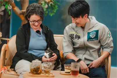 相約毛孩咖啡廳送「貓屋」　蕭美琴：吳崢與他的貓都是中和人