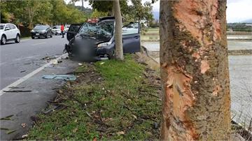 載全家出遊疲勞駕駛 撞上路樹翻車4輕傷