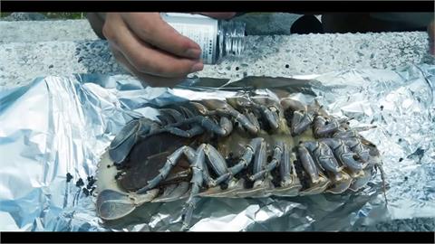 深海活化石也能吃？他火烤「巨型海蟑螂」　隱藏版美味驚呆眾人