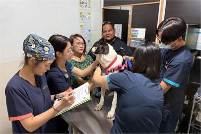 快新聞／台灣動物絕育經驗走向國際！　中興大學「浪愛無國界」推展獸醫外交