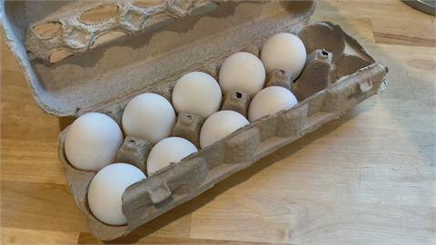 美國雞蛋也缺蛋！飆漲55%　復活節彩蛋擬用假蛋取代