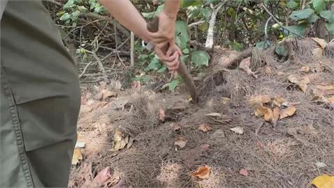 網傳台南漁光島沙灘埋現金 里長:歡迎來尋寶順便淨灘