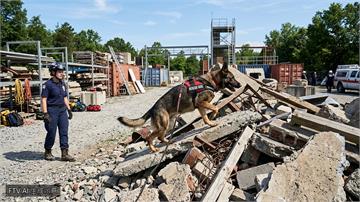 首屆搜救犬世界盃北京登場　逾20國頂尖隊伍齊聚切磋