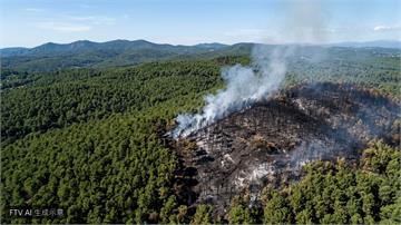 法國70年來最大野火終受控　燒毀面積創20年新高