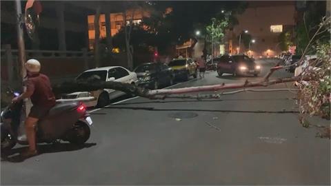 台中夜裡颳狂風　路樹連根拔起一次壓4車