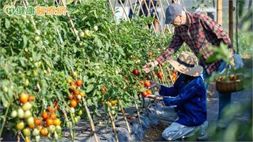 爸媽退休後社交退縮、懶得出門？　心理師籲「別當拯救者」：記好3招