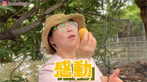 南韓爸媽嚐1水果秒上癮！直衝產地樂當一日農民　滿載而歸超開心