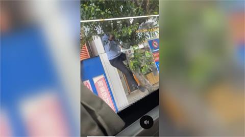 樹枝影響行車視線! 客運司機"爬樹"折斷 最重罰5萬元