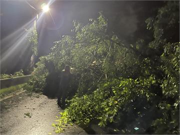 快新聞／竹縣道122線32K處大石及樹木崩塌　估24時恢復雙向通車