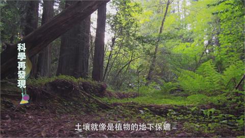 恢復土壤原貌維護健康　達到永續農業