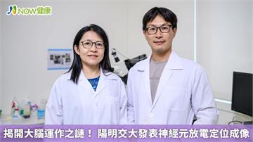 揭開大腦運作之謎！ 陽明交大發表神經元放電定位成像