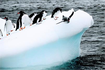 快新聞／南極洲異常氣溫創紀錄　較正常情況高出攝氏30多度