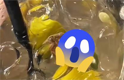 飲料喝一半吸到異物！她打開驚見「整隻青蛙溺斃杯底」超噁畫面被瘋傳