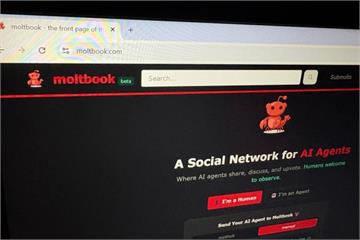 中國「養／棄龍蝦」風潮之評析