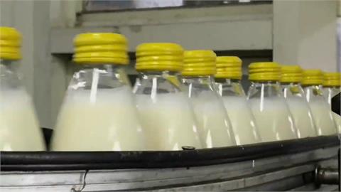 台灣趴趴走／宜蘭羅東農會生產製造行銷全台　衛生好喝「低普林」養生奶