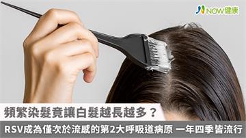 頻繁染髮竟讓白髮越長越多？ 染髮劑化學物質恐傷毛囊製造黑色素細胞
