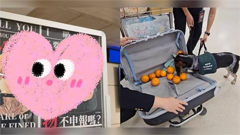 桃機檢疫犬「I 吸 YOU」宣導海報暴紅！超萌反差引80萬人圍觀