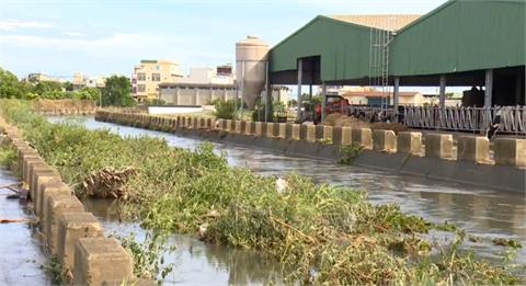 彰化積水難退？大村鄉低窪處仍泡水　大城鄉淹水釀災、抽水機抽到垃圾故障