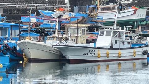 花蓮賞鯨船無法出海　遊客銳減業者苦嘆損失大