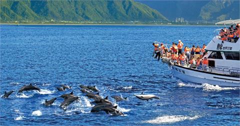 同慶台灣蟬聯奧運金牌！　名字「麟、洋」任一字免費賞鯨