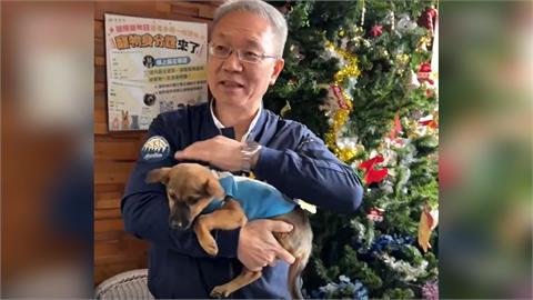 好冷! 宜蘭毛孩蜷縮發抖 中途之家啟動"防寒大作戰"