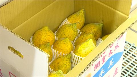 水果發霉還能吃嗎？　毒物科專家：傷身恐致癌