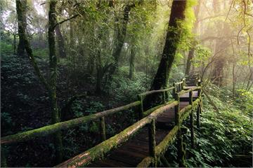 誰說出國一定要發限動?5個數位排毒聖地讓妳找回靈魂