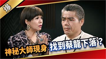 《愛的榮耀-EP245精彩片段》神秘大師現身 找到蔡龍下落？