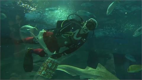 巴西水族館創意耶誕　變裝耶老潛水餵食秀