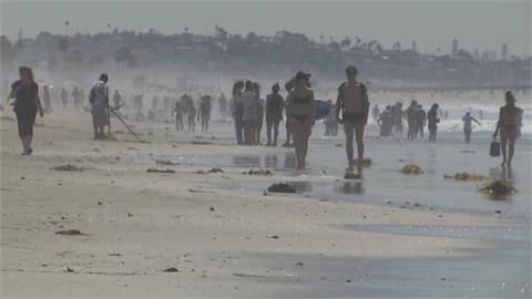 加州局部高溫破紀錄 沙灘湧入戲水人潮
