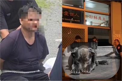花蓮女師命案嫌犯遭押！忠犬「守門」苦等主人成空…畫面令人鼻酸