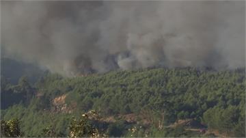強風助長火勢 葡萄牙森林野火18傷