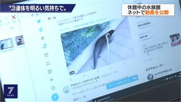 三天連假碰疫情 日本商家想出「另類」度假法