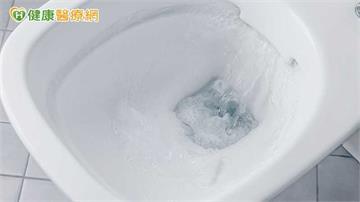 沖水恐噴「生物氣溶膠」！研究：最高恐逾1公尺　蓋馬桶蓋仍難阻隔