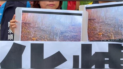 名間焚化爐爭議未歇 自救會秀"石虎影像"打臉縣府