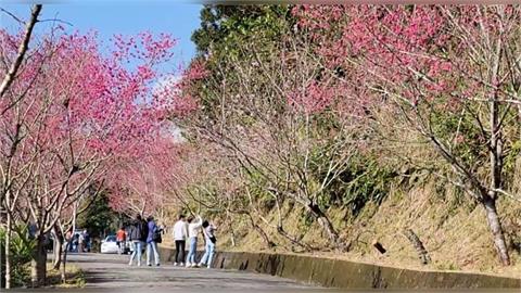 小孟老師運勢／初二回娘家「不怕吵架」這樣做！專家提點2星座小心為上