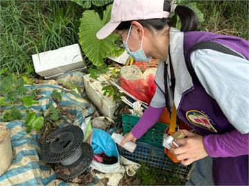 快新聞／桃園4天增8例本土登革熱　均有台南旅遊居住史