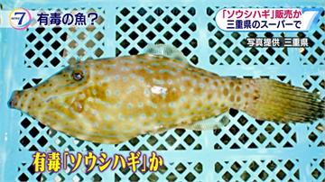 日本超市誤賣有毒海魚 民眾不知情吃下肚