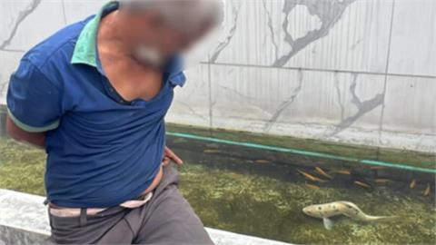 51歲男「私闖民宅」抓鯉魚幫吃！落網驚吐「曾對母狗下手」爽玩路邊娃娃