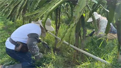 「校長夫妻」退休當農夫！　戴起斗笠務農奪農委會、農糧署兩大獎