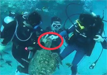 快新聞／民眾拍下畫面指證歷歷 2潛客小琉球餵食海龜遭法辦 