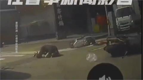 台中騎士路口左轉沒減速　直行機車反應不及撞上